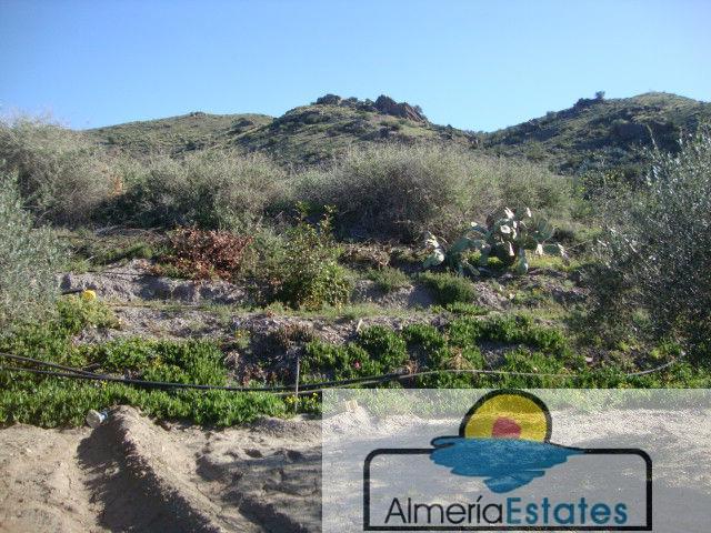 For sale of land in Cantoria