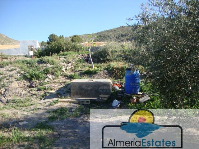 For sale of land in Cantoria