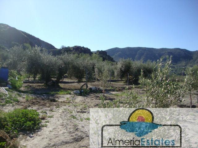 For sale of land in Cantoria