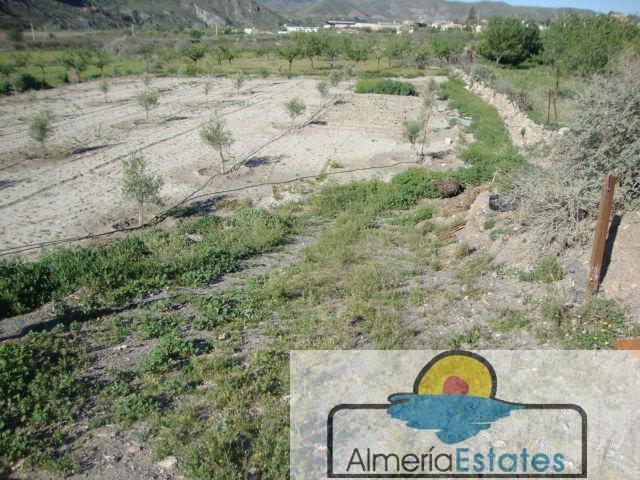 For sale of land in Cantoria