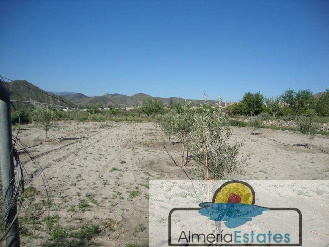 For sale of land in Cantoria