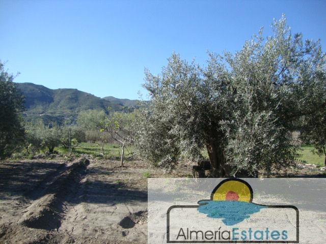 For sale of land in Cantoria