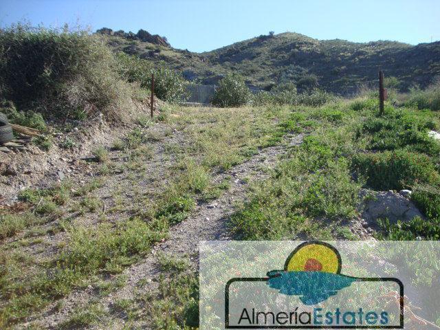 For sale of land in Cantoria