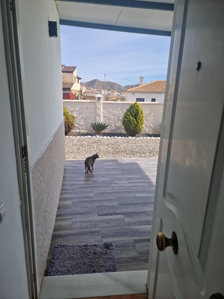 For sale of villa in Cantoria