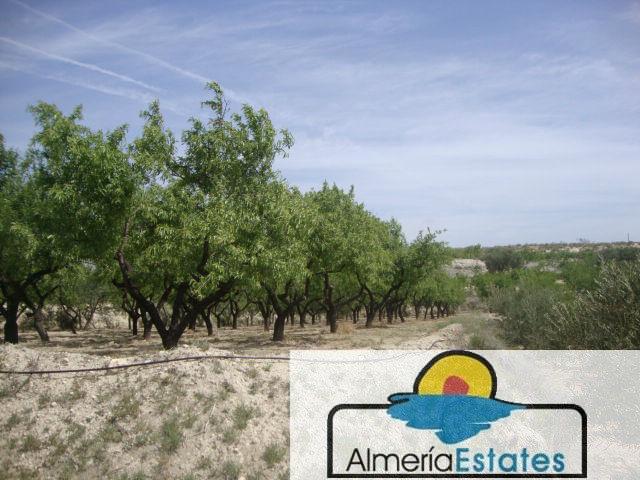 Venta de casa en Somontín