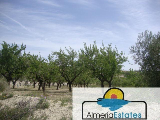 Venta de casa en Somontín