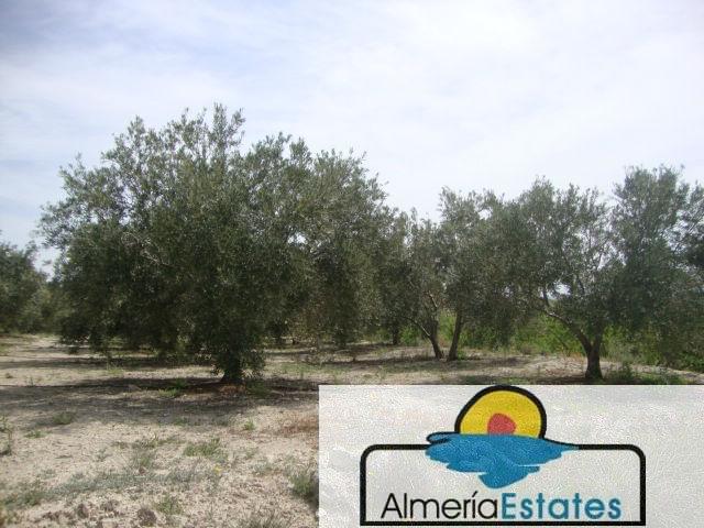 Venta de casa en Somontín