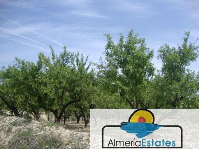 Venta de casa en Somontín