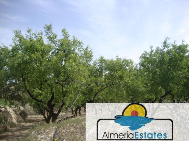 Venta de casa en Somontín