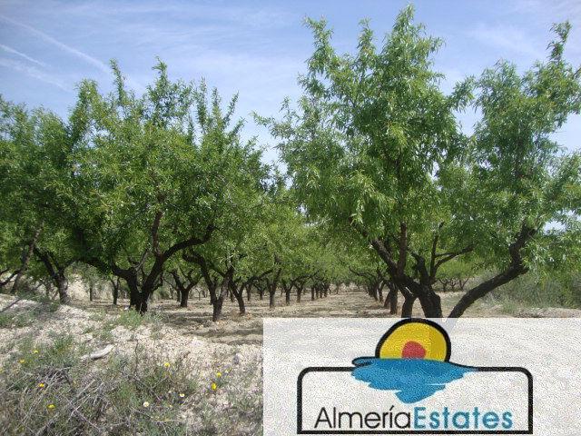 Venta de casa en Somontín