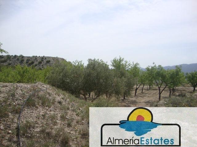 Venta de casa en Somontín