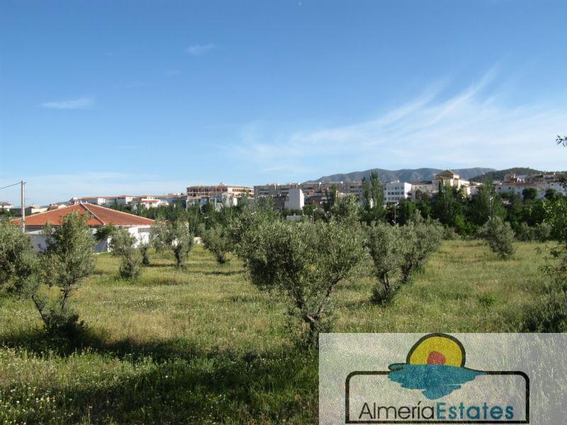 For sale of house in Vélez-Rubio