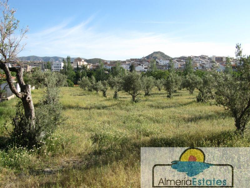 For sale of house in Vélez-Rubio