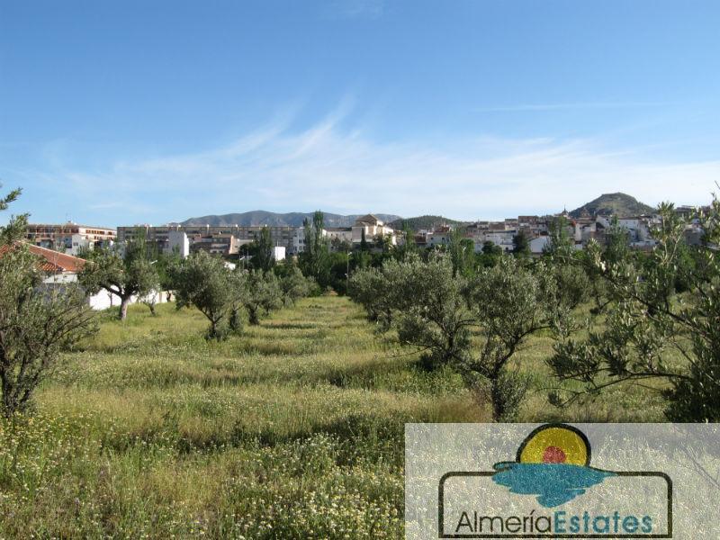 For sale of house in Vélez-Rubio