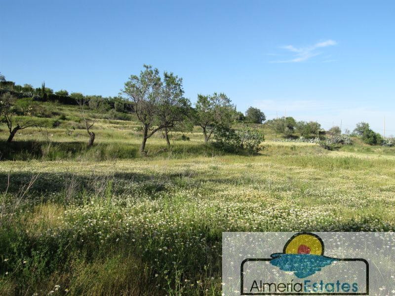 For sale of house in Vélez-Rubio