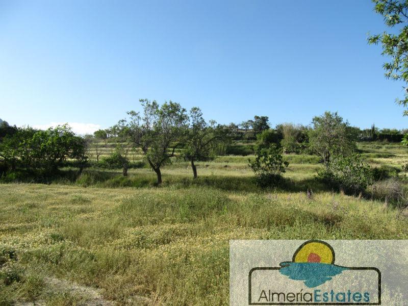 For sale of house in Vélez-Rubio