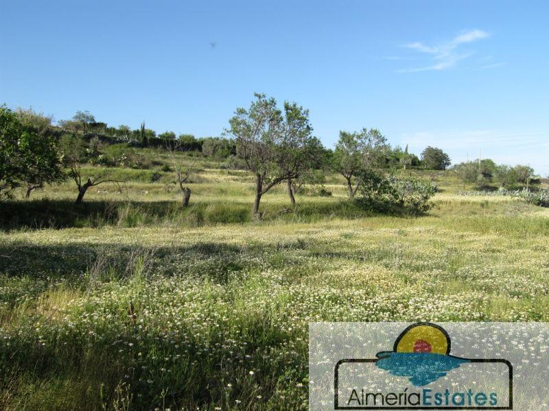 For sale of house in Vélez-Rubio