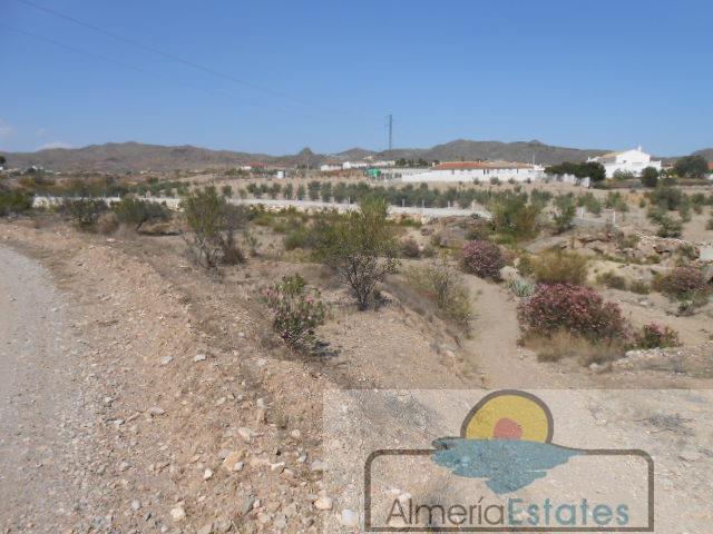 For sale of land in Albox