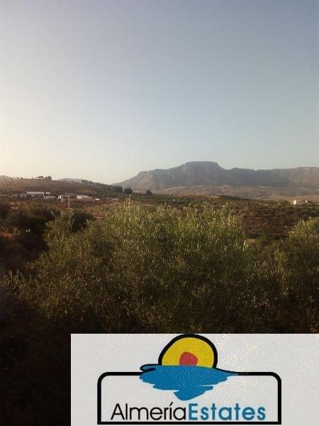 For sale of house in Vélez-Rubio