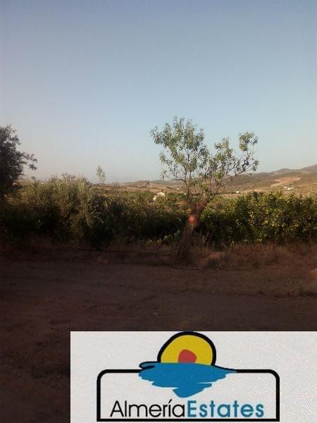 For sale of house in Vélez-Rubio