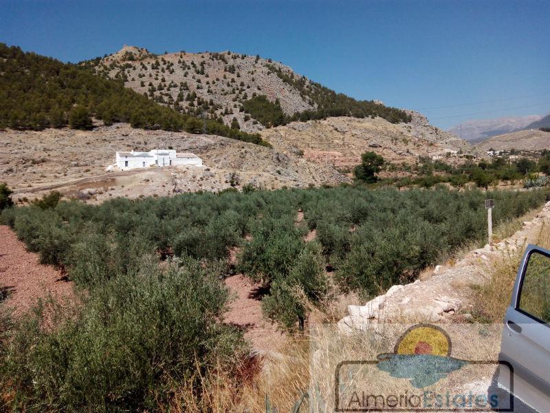For sale of land in Vélez-Rubio
