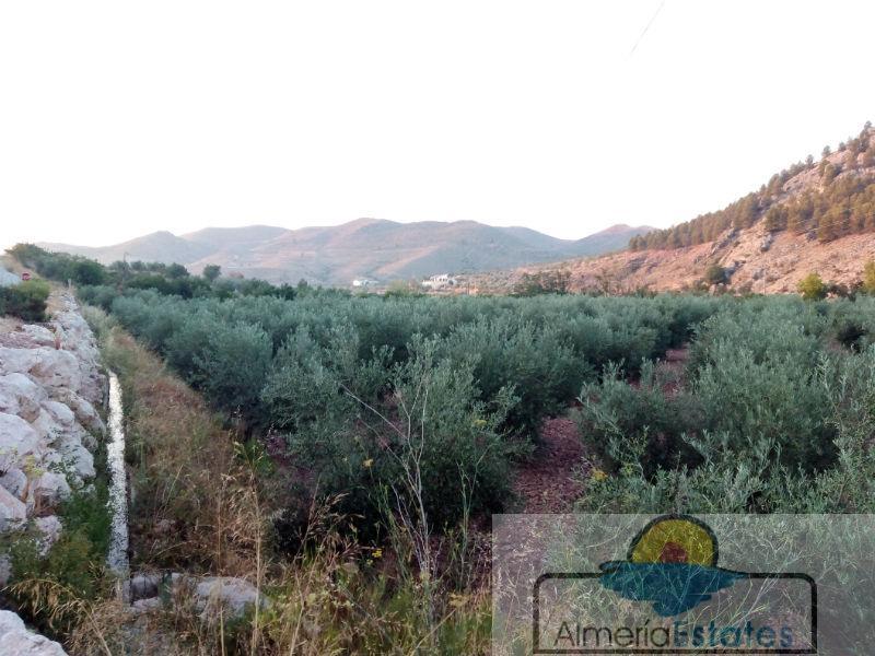 For sale of land in Vélez-Rubio
