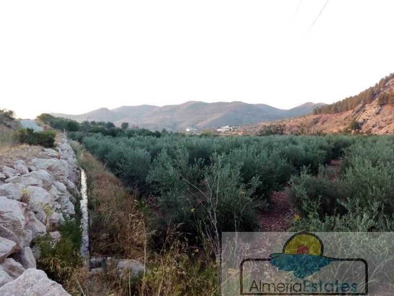 For sale of land in Vélez-Rubio