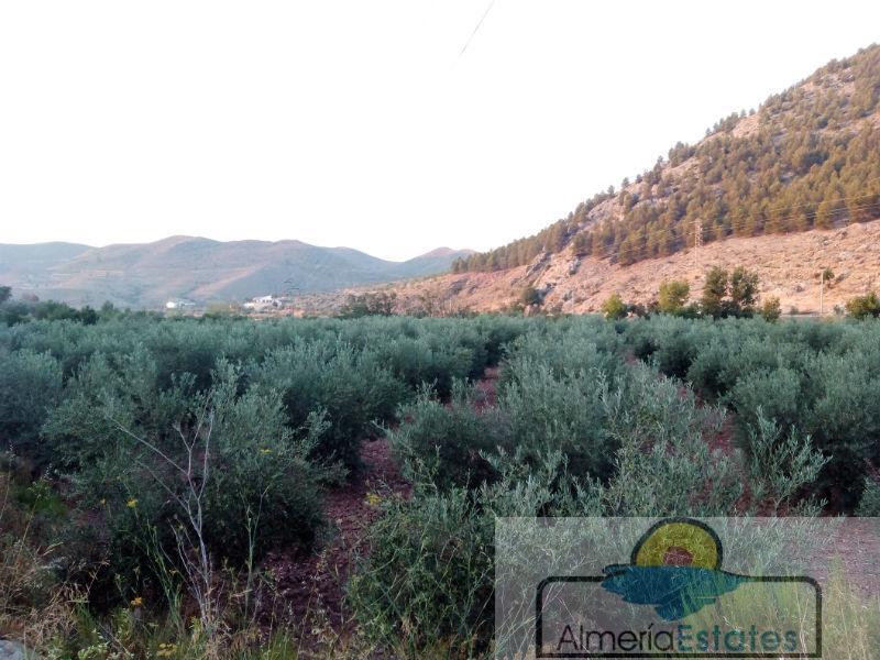 For sale of land in Vélez-Rubio