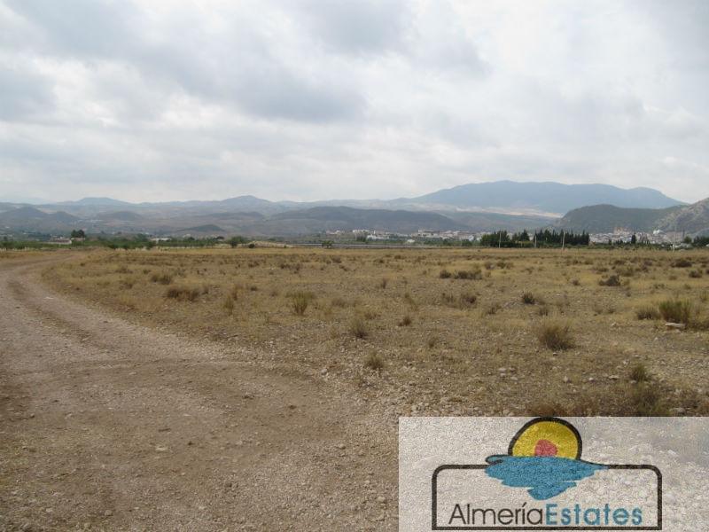 For sale of land in Vélez-Rubio