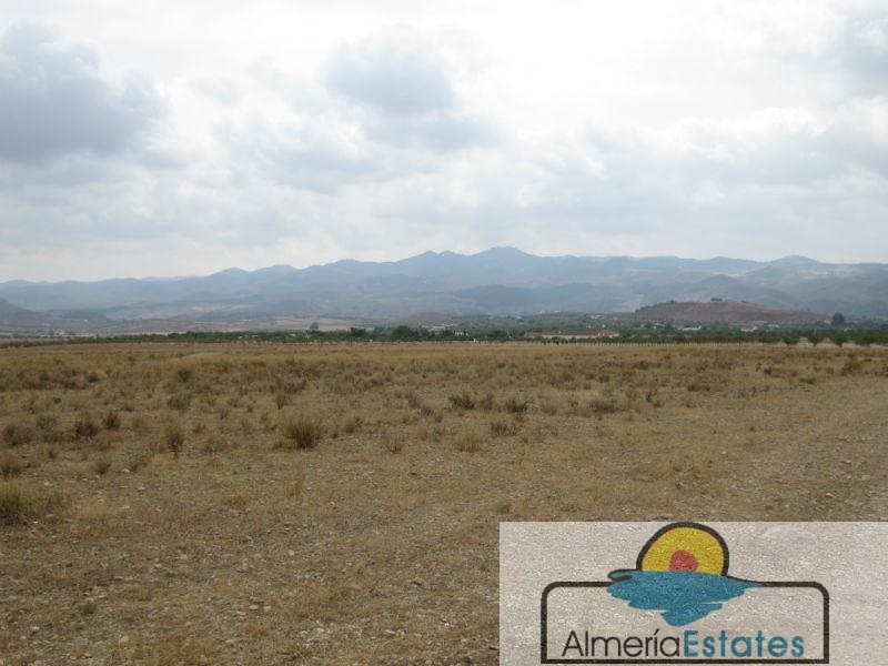 Venta de terreno en Vélez-Rubio