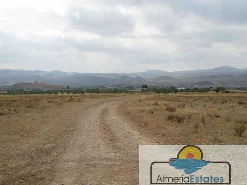 Venta de terreno en Vélez-Rubio