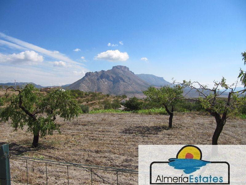 For sale of villa in Vélez-Blanco