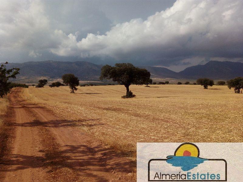 For sale of rural property in Vélez-Rubio