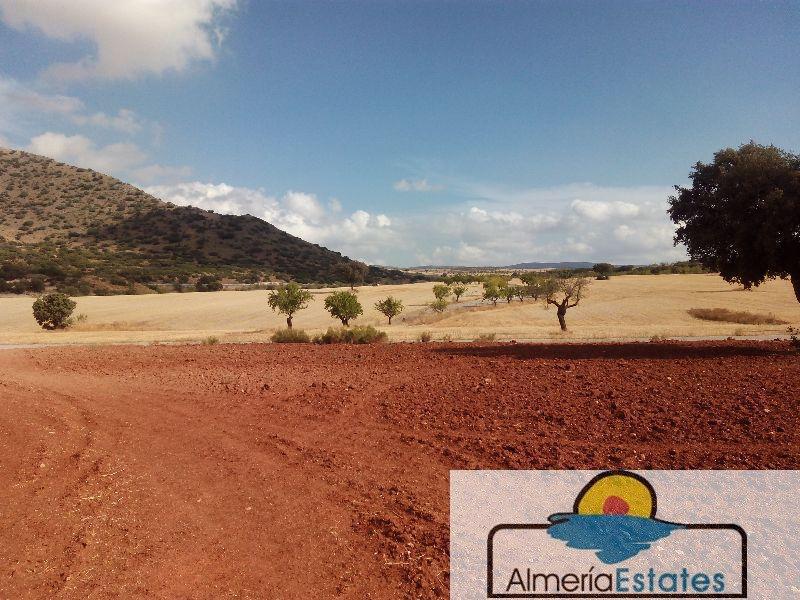 For sale of rural property in Vélez-Rubio