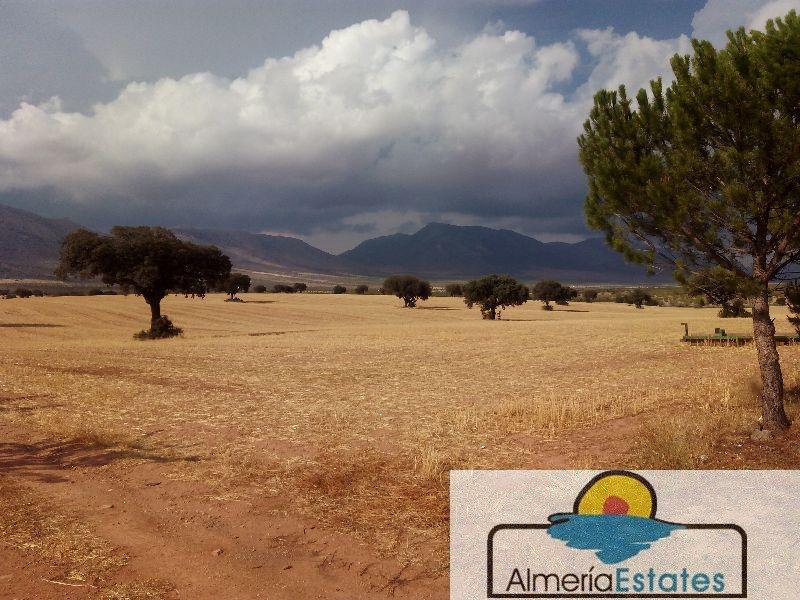For sale of rural property in Vélez-Rubio