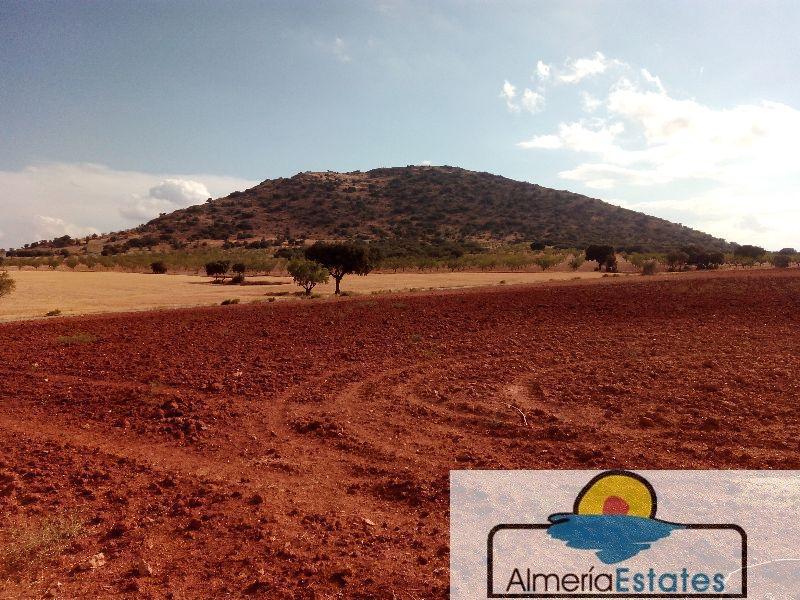 For sale of rural property in Vélez-Rubio