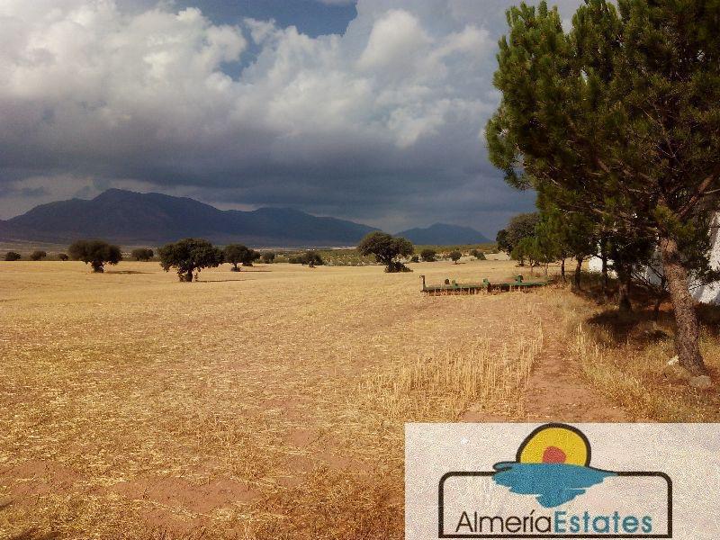 For sale of rural property in Vélez-Rubio