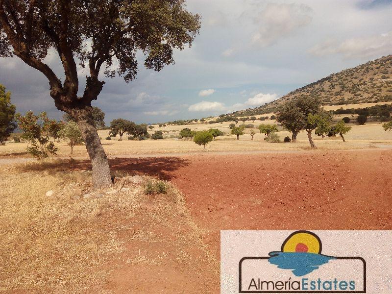 For sale of rural property in Vélez-Rubio