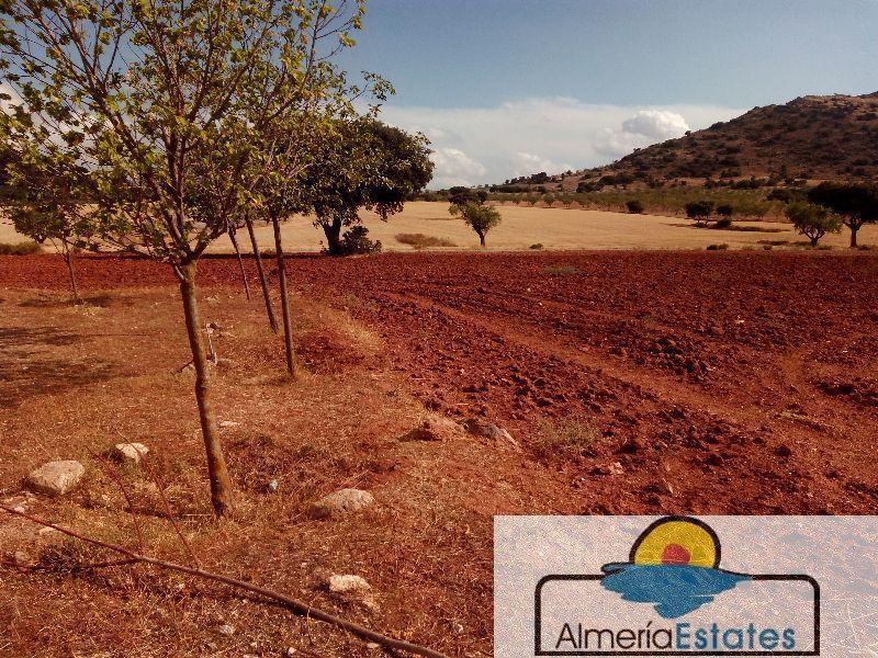 For sale of rural property in Vélez-Rubio