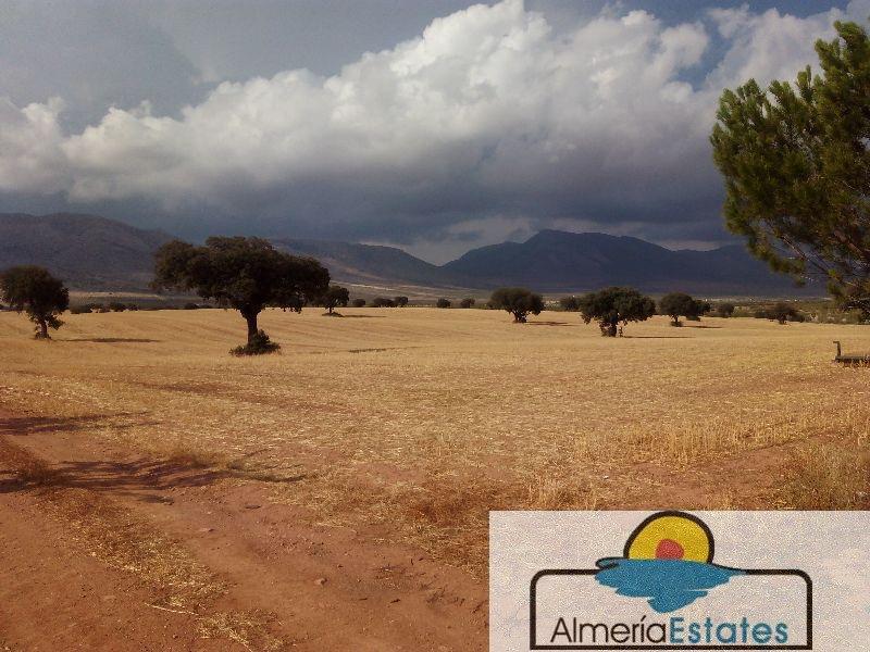 For sale of rural property in Vélez-Rubio