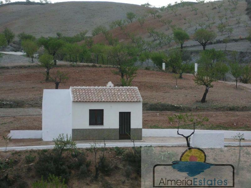 For sale of villa in Vélez-Rubio