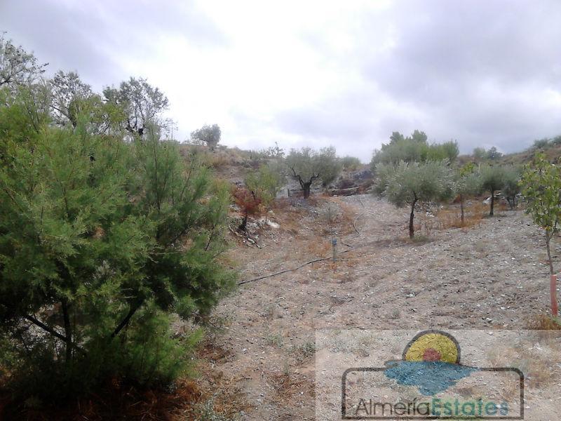 For sale of villa in Vélez-Rubio