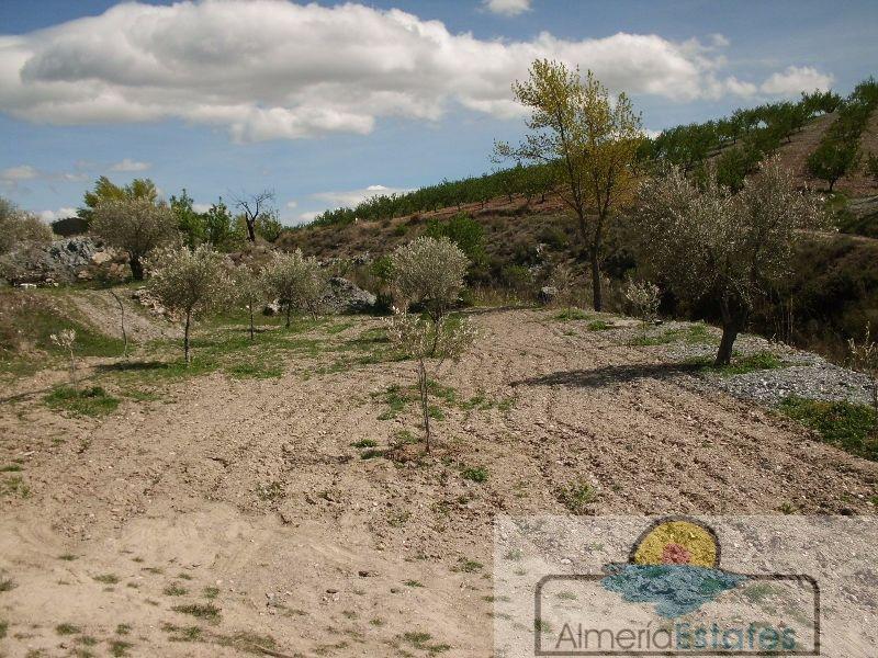 For sale of villa in Vélez-Rubio