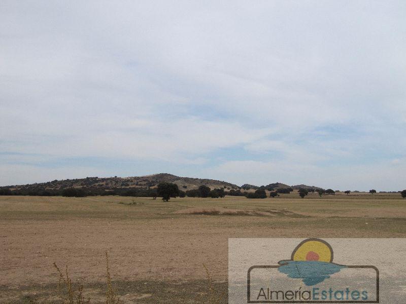 Venta de casa en María
