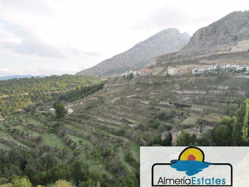 For sale of penthouse in Vélez-Blanco