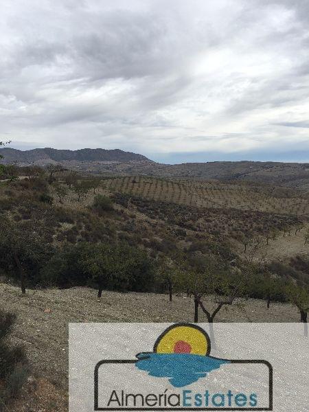 For sale of land in Vélez-Rubio