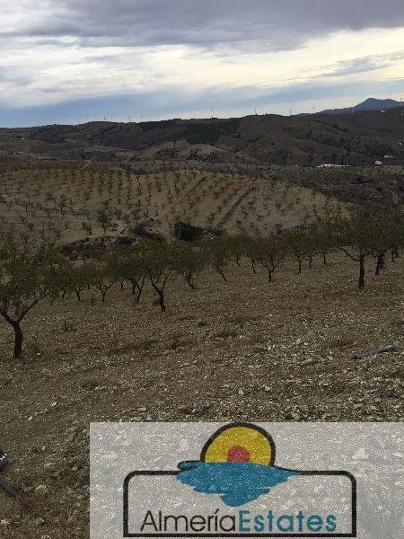 For sale of land in Vélez-Rubio