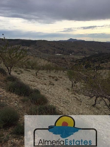 For sale of land in Vélez-Rubio