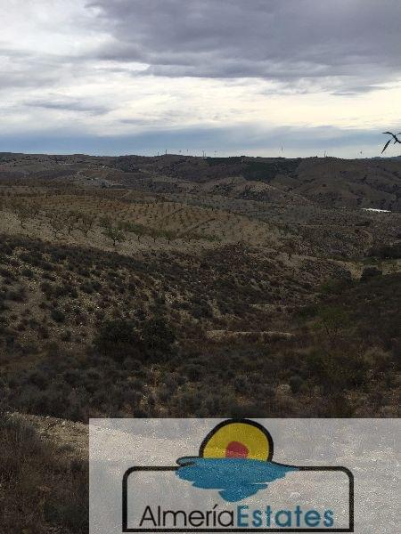 For sale of land in Vélez-Rubio
