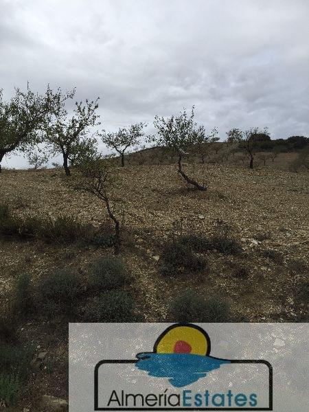 For sale of land in Vélez-Rubio